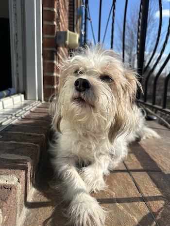benjamin profile picture