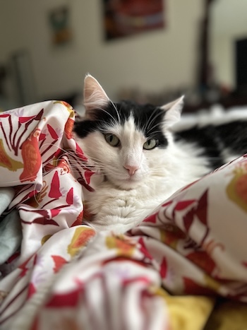 esmeralda profile picture