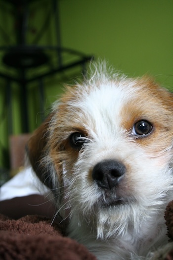 benjamin picture