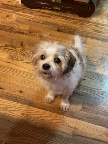 benjamin picture